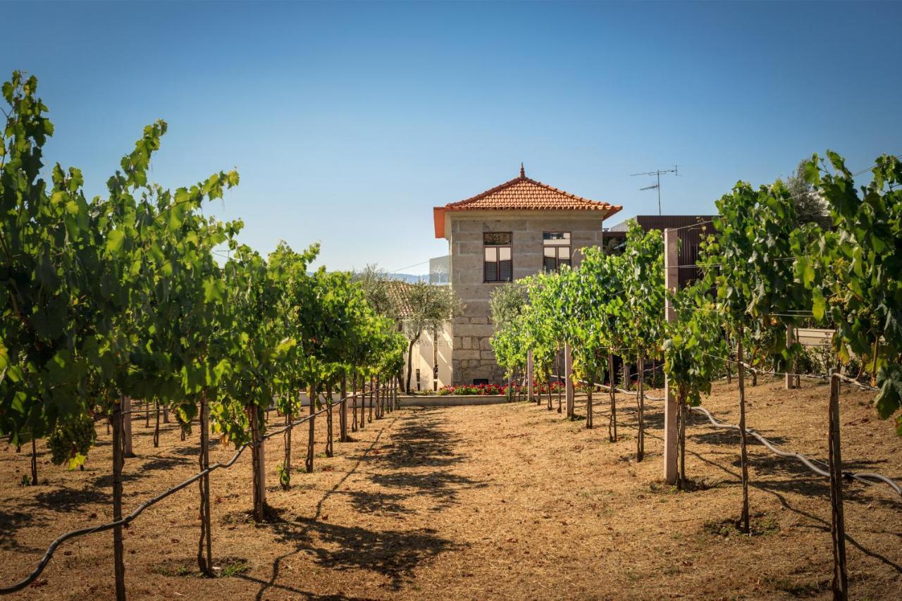 Villa Quinta Do Aido - Winetourism Cinfães Exterior foto